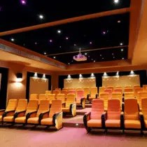 max estate 105 mini theater